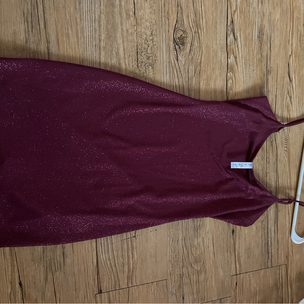 Lucy in the Sky Glittering Wine Dress